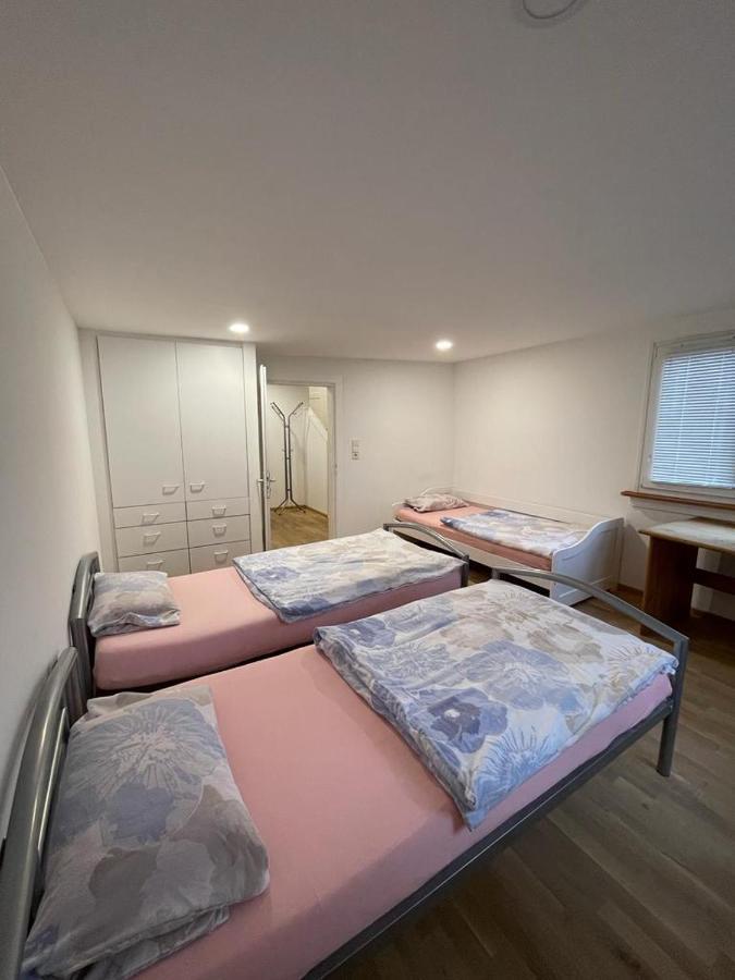 Apartment Viktoria Offenbourg Extérieur photo